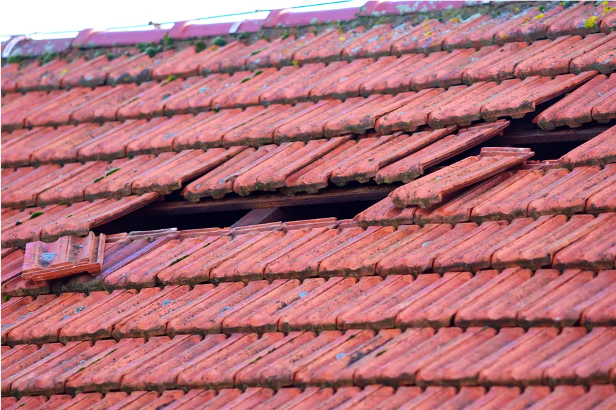 Why Roof Restoration Is Better Than Frequent Repairs in Brackendale, BC Why Roof Restoration Is Better Than Frequent Repairs in Brackendale, BC